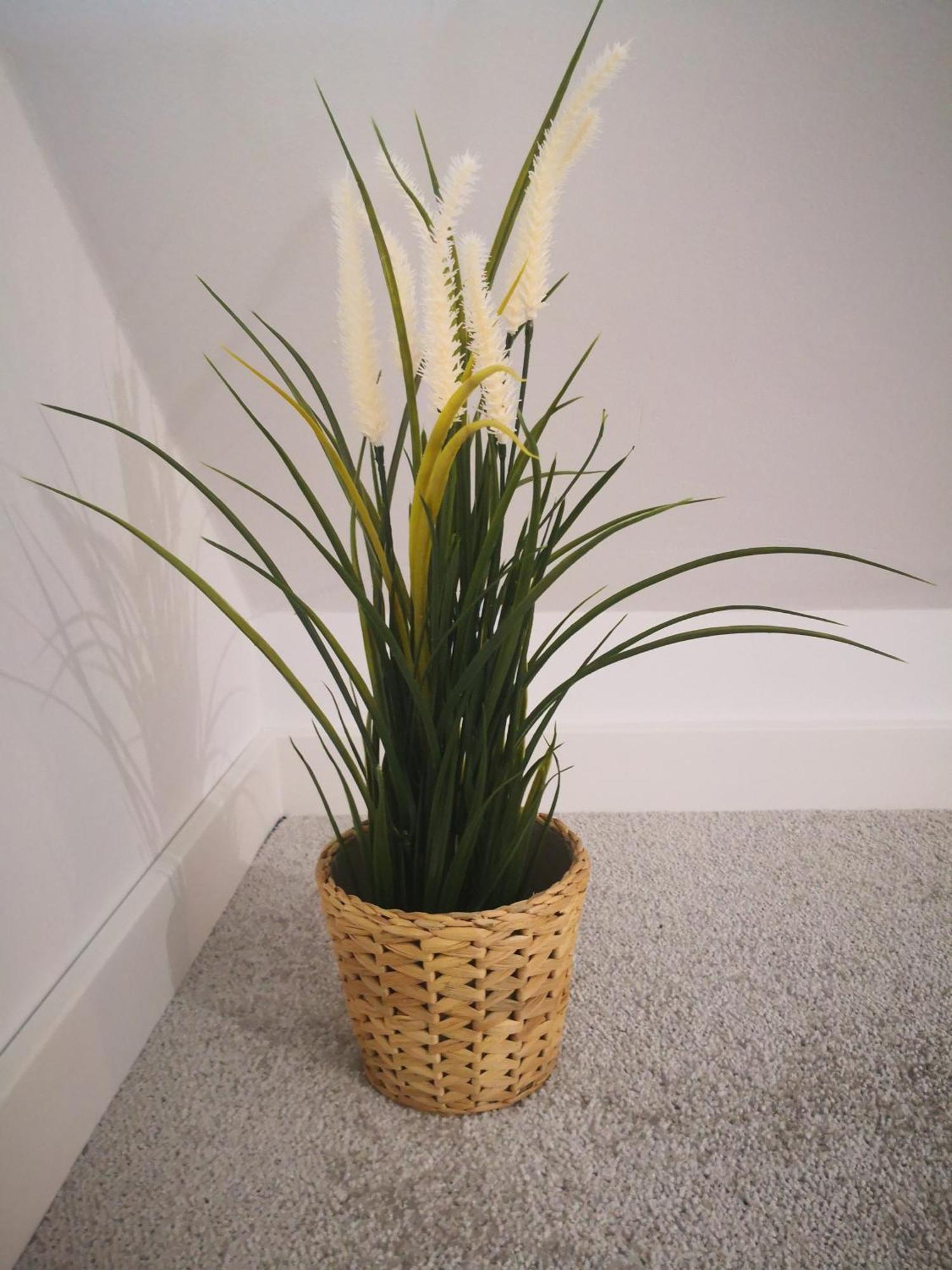 Milo Cie Widziec Apartamento Łeba Quarto foto
